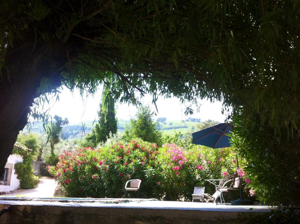 Casa Do Cimo Bed and breakfast Aldeia Nova do Cabo