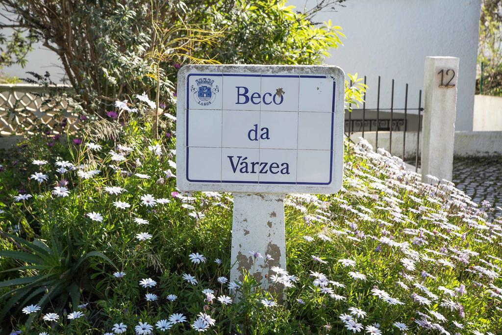 Flh Da House With Terrace Praia Da Luz