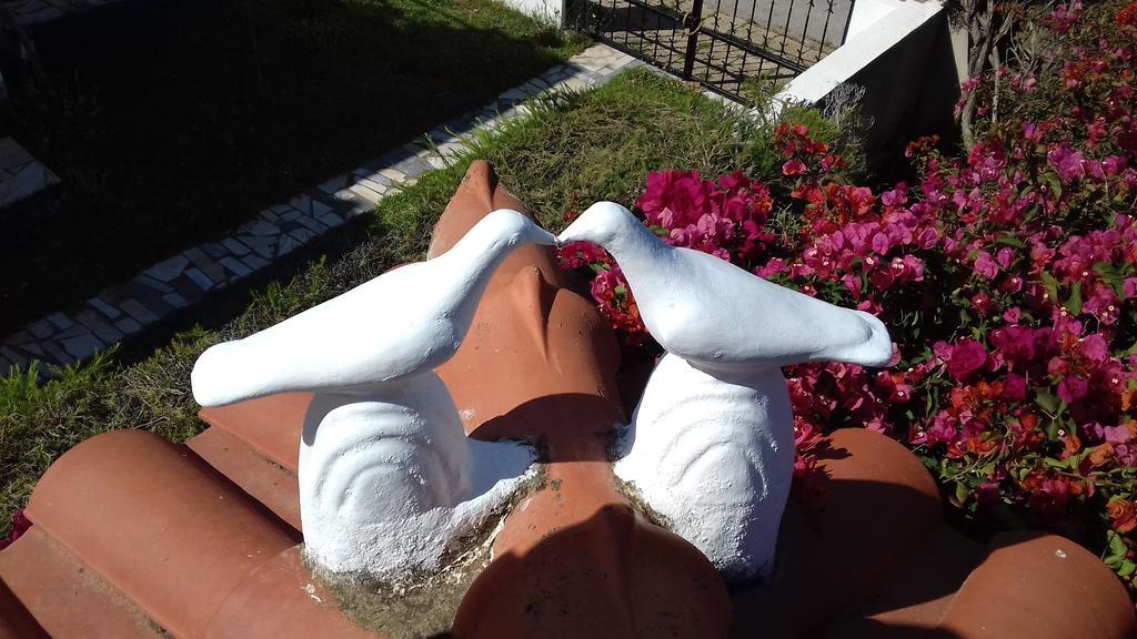 Guest house Roulito's Altura