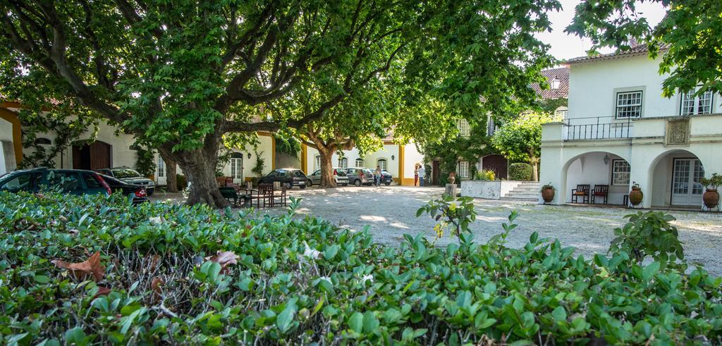 Quinta Da Alcaidaria Mor *