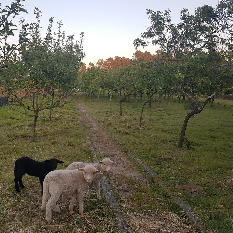 Quinta Da Lage Holiday home *