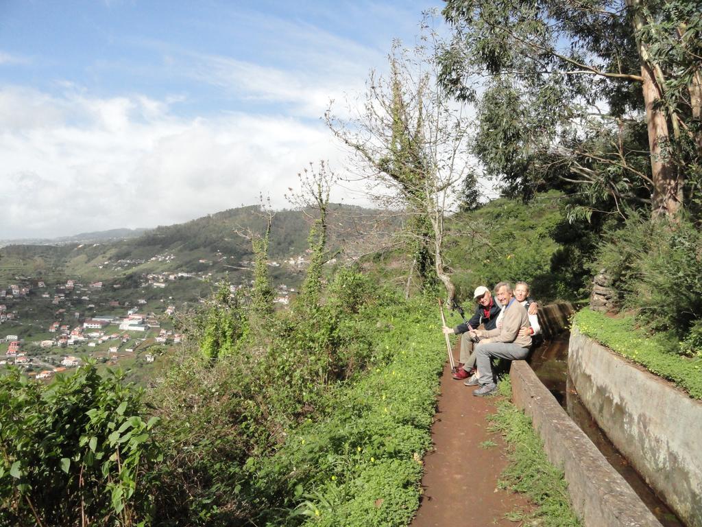 Palma Madeira Wandern Und Tauchen