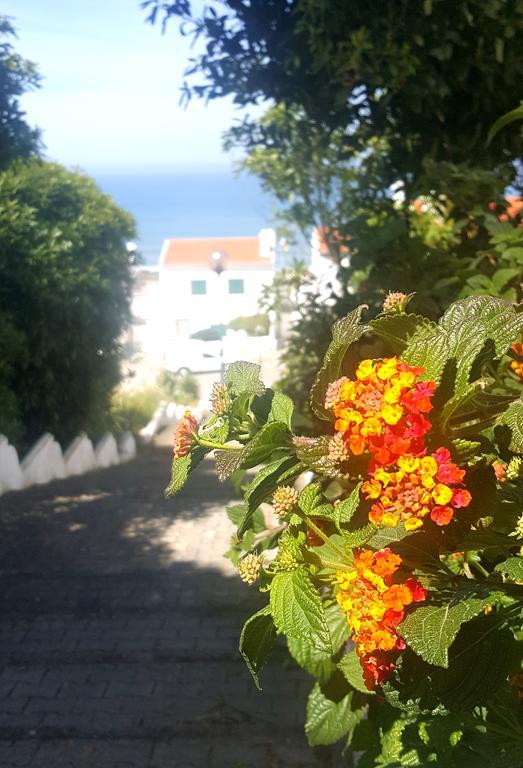 Villa Ocean With Private Pool Ericeira