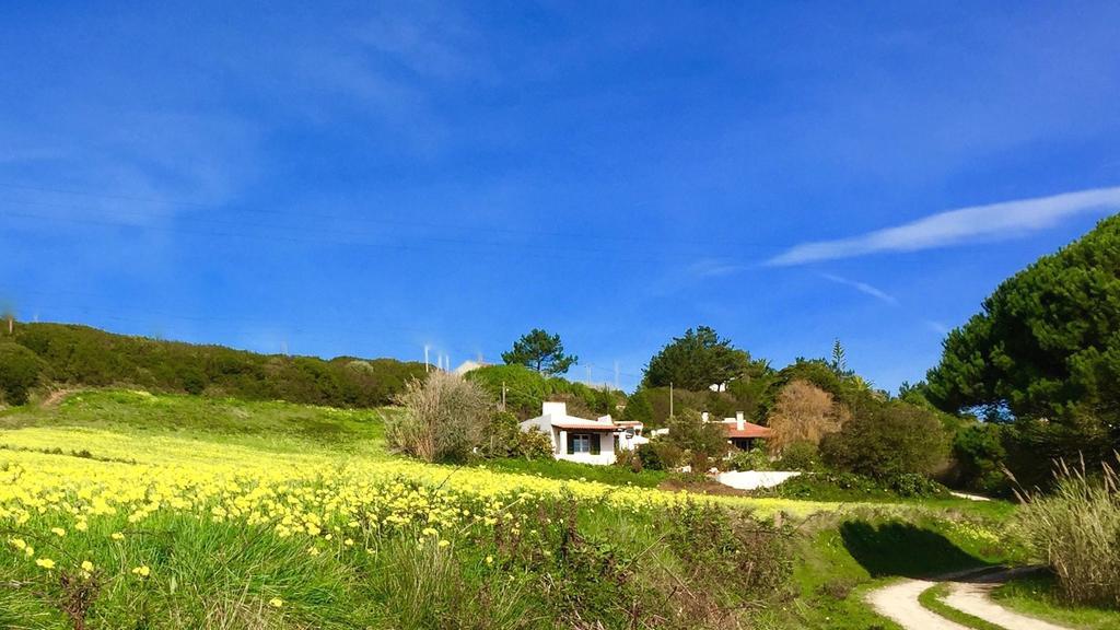 Casa Dos Mangues Country house Sao Martinho do Porto