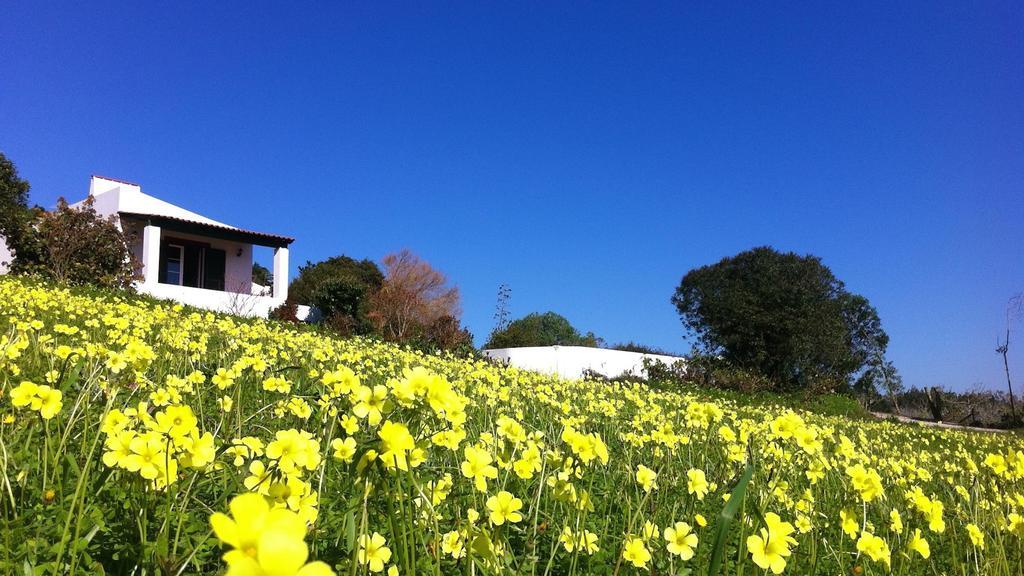 Country house Casa Dos Mangues Sao Martinho do Porto