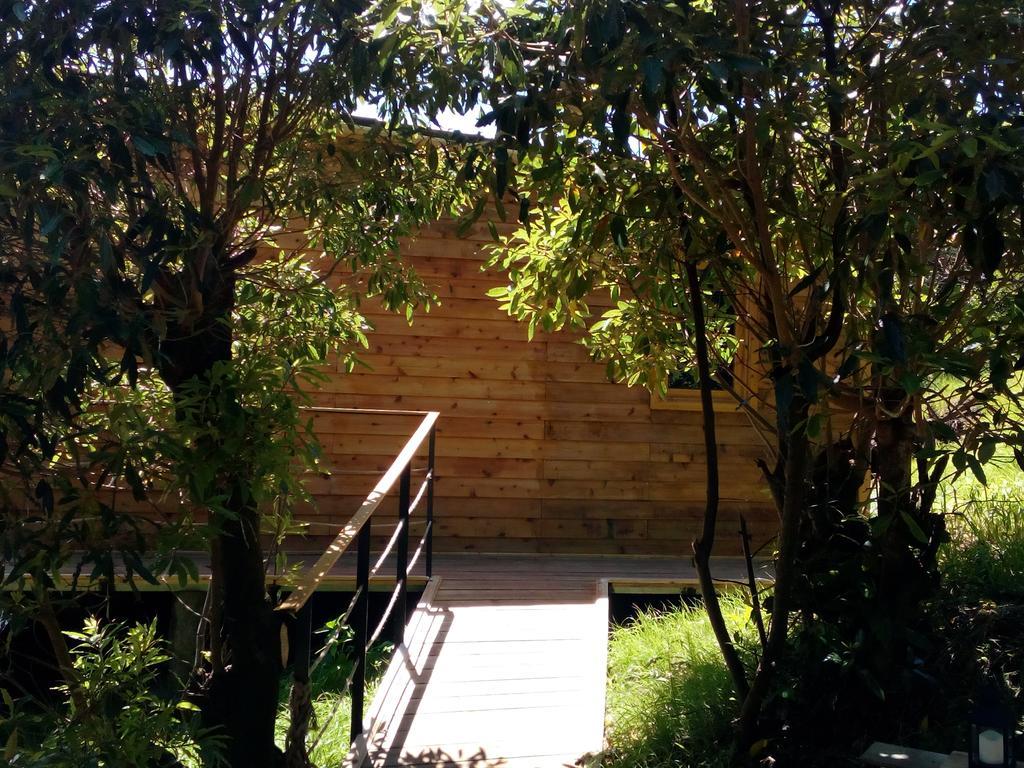 Intact Farm Estadia no rancho