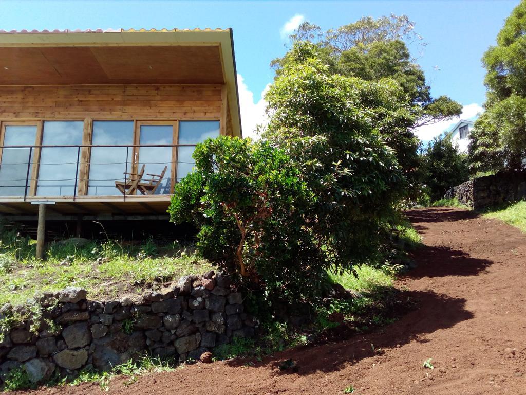 Intact Farm * Velas