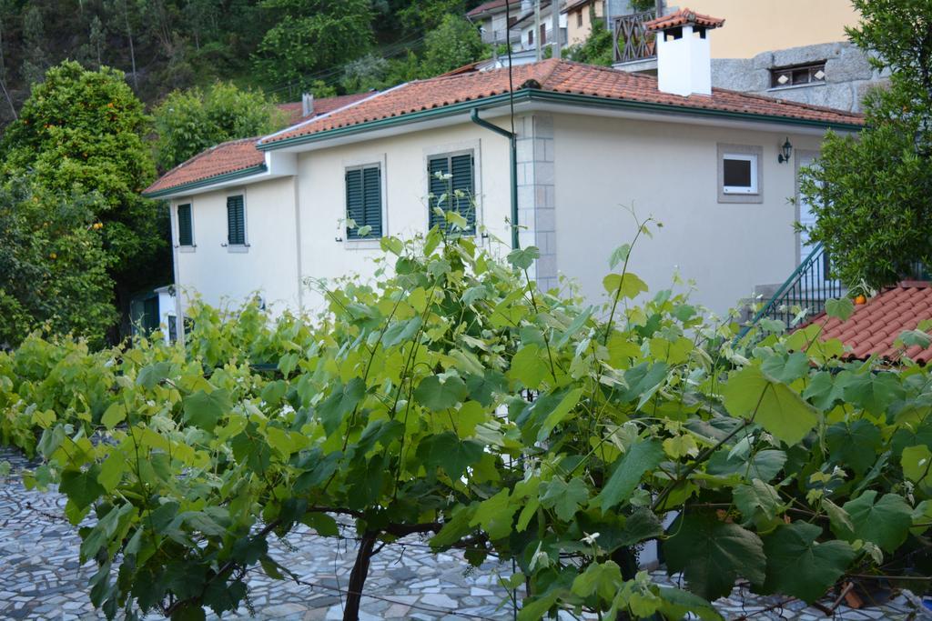 Casa Dos Santos Alojamento - Guest House Guest house