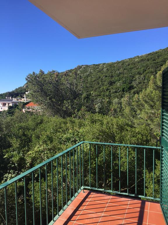 Casa Do Farol Da Arrabida Holiday home