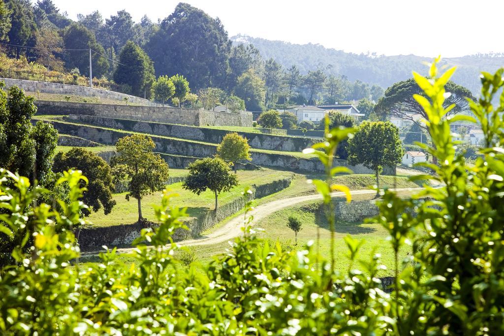 Boega Vila Nova de Cerveira