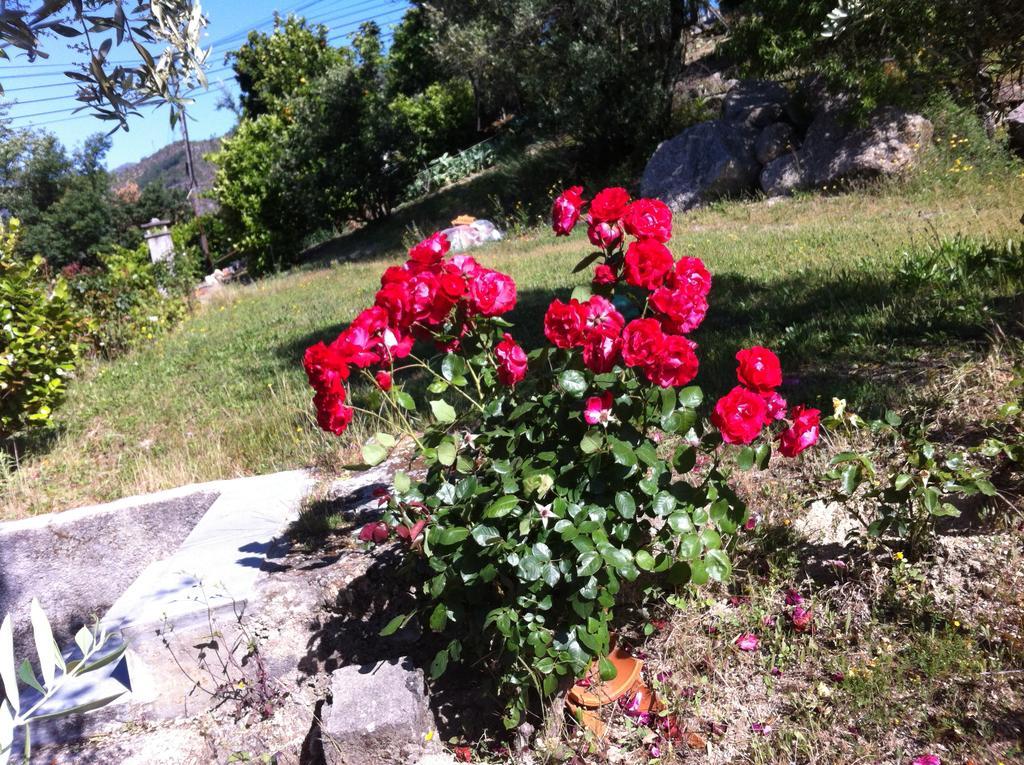 Holiday home Al Vivenda Romantica *