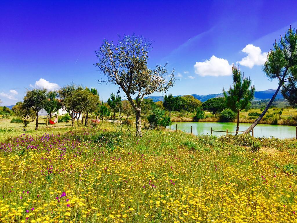 Monte Do Zambujeiro Guest house 3*