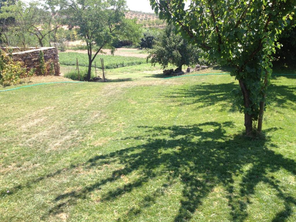 Casa de hóspedes Quinta Da Pereira E Enricas Agro-turismo