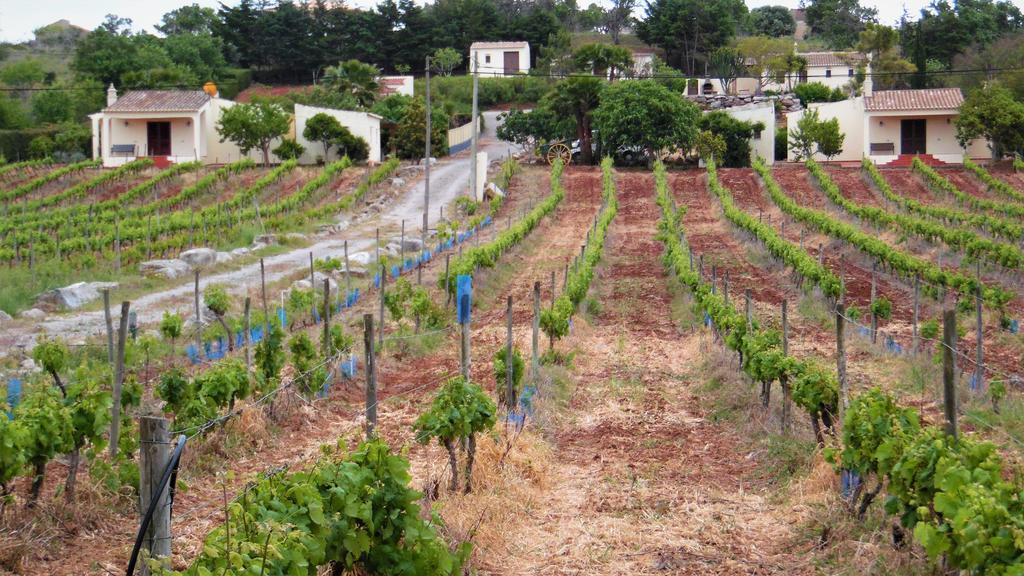 Holiday home Horta Nova