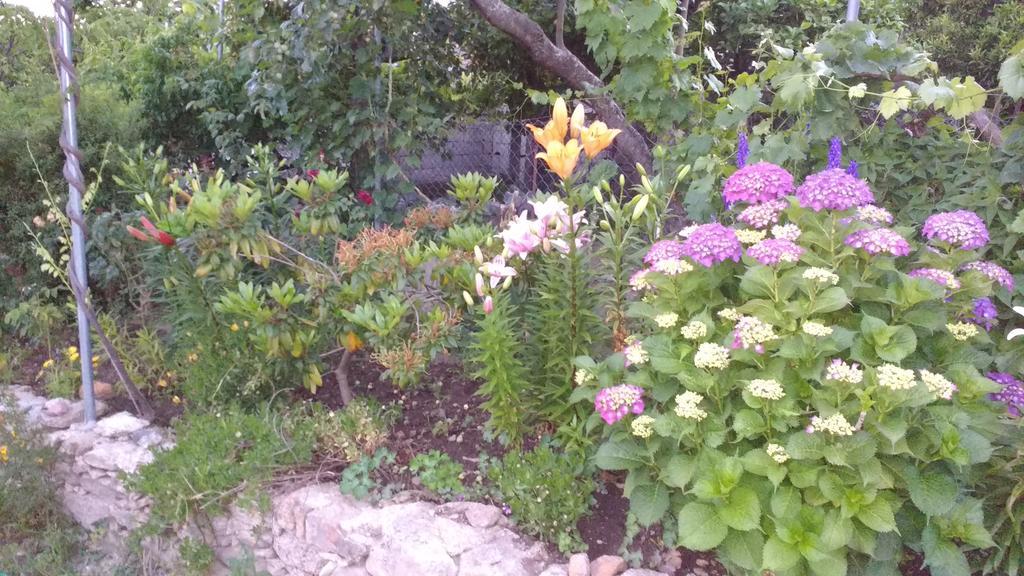 Holiday home Casas Da Fraga - Serra Da Estrela