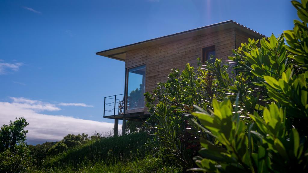Intact Farm Estadia no rancho *