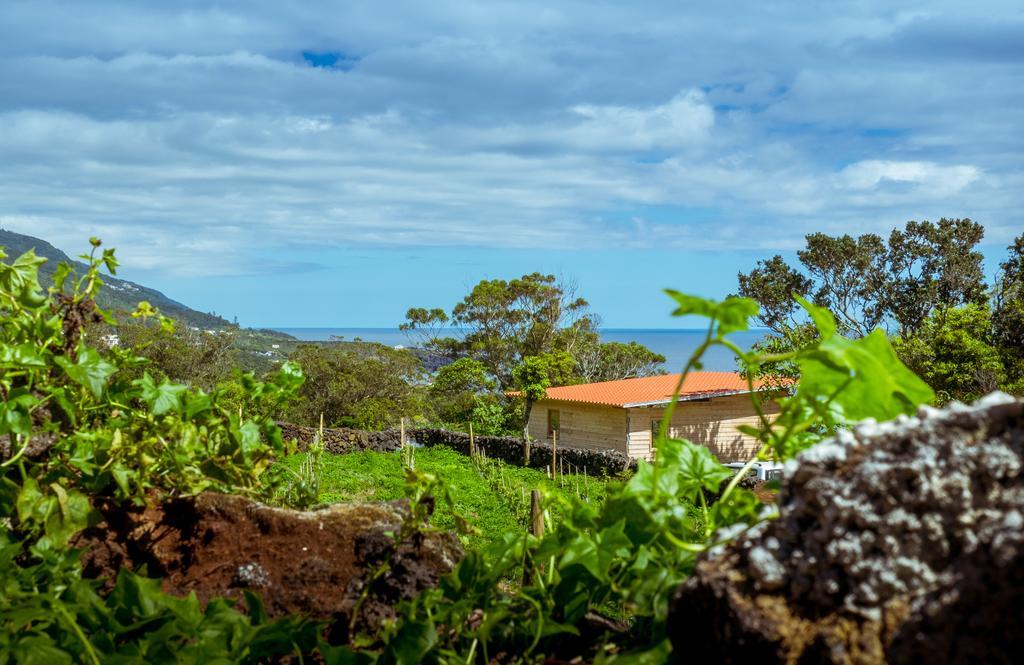 Intact Farm Velas