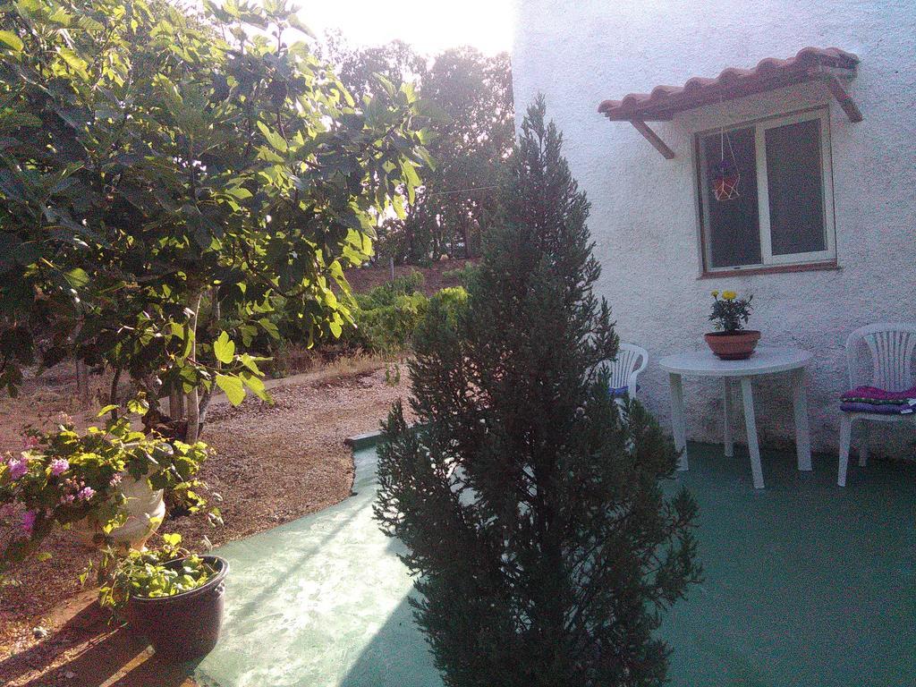 Holiday home Nature Houses Lagos