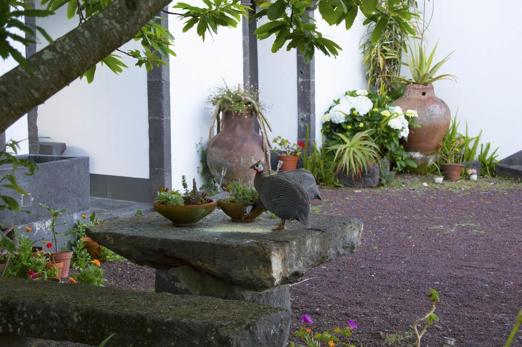 Quinta Da Praca Country house Capelas