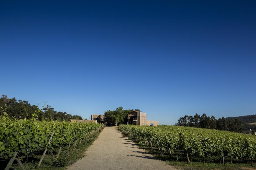 Monverde - Wine Experience - By Unlock 4*