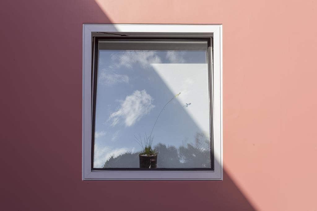 Quinta Dos Peixes Falantes Farm stay Ribeira Grande