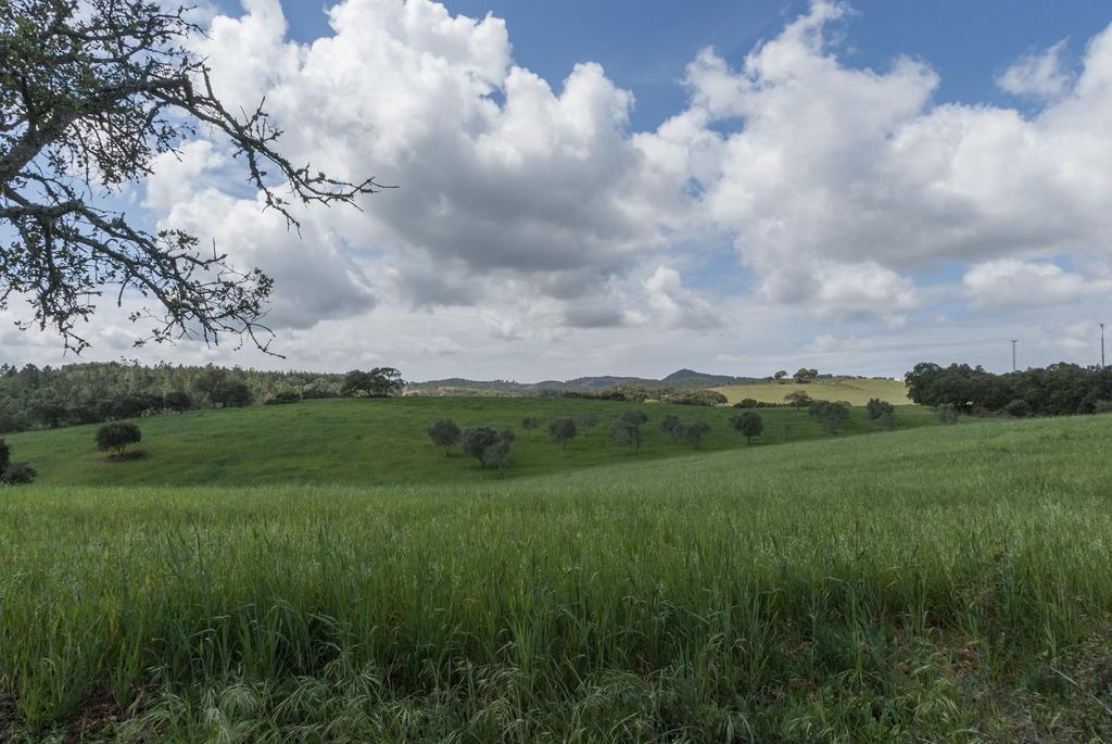 Monte Pedras Negras Sao Luis