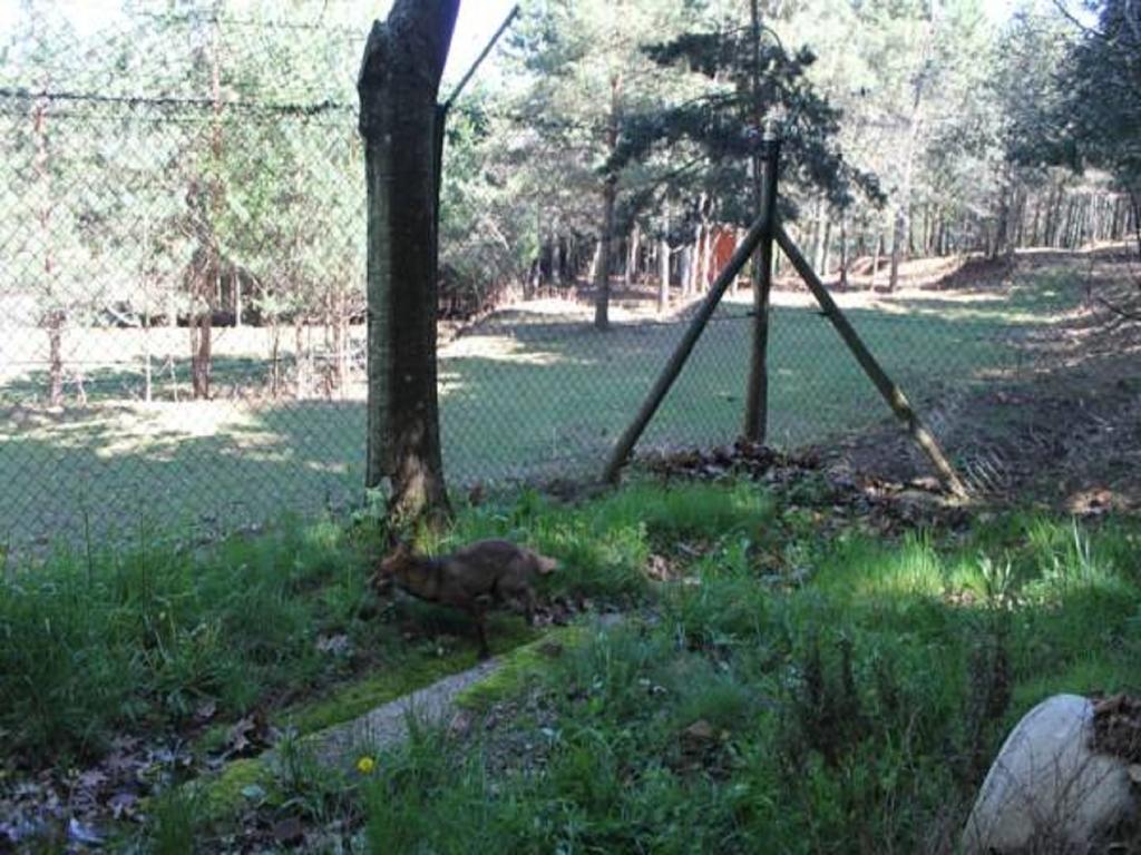 Parque Biologico De Campsite 3*