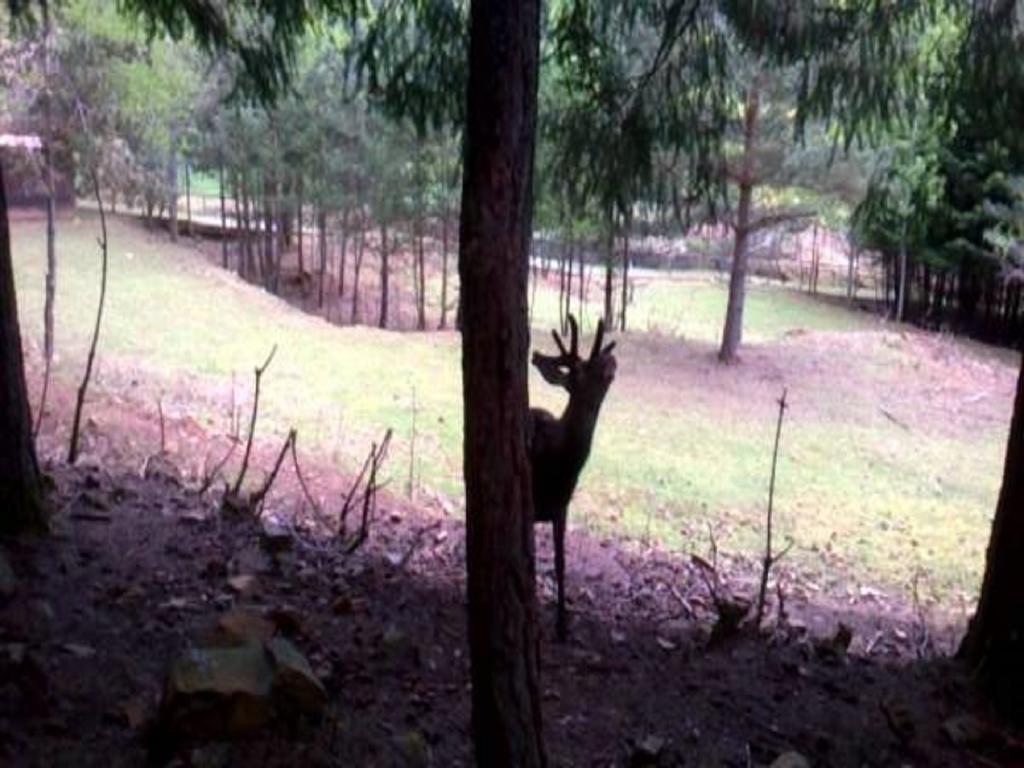 Parque Biologico De 3*