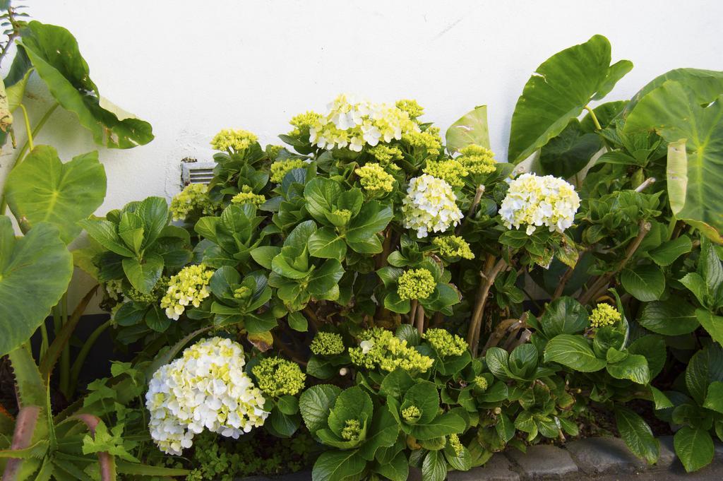 Quinta Da Praca Country house *