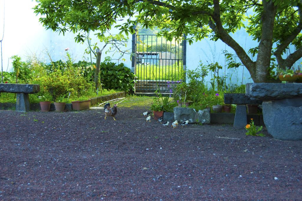Quinta Da Praca *