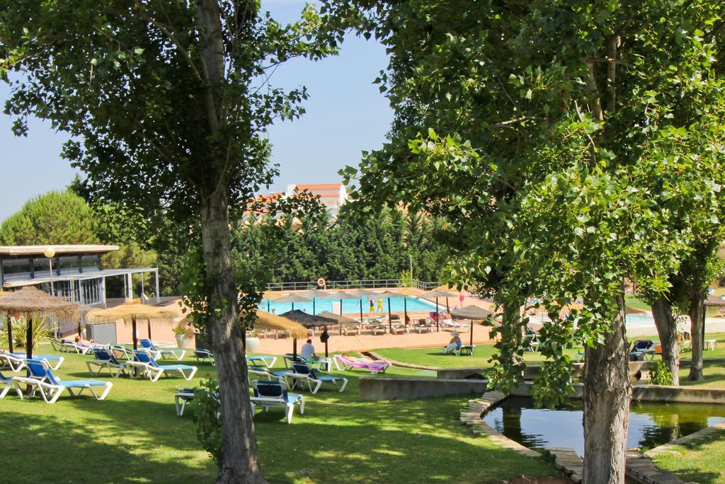 T1 Em Com Piscina E Garagem *