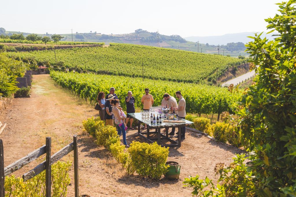 Quinta Da Barroca Douro Valley Farm stay *