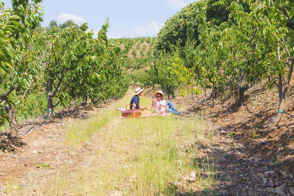 Quinta Da Barroca Douro Valley