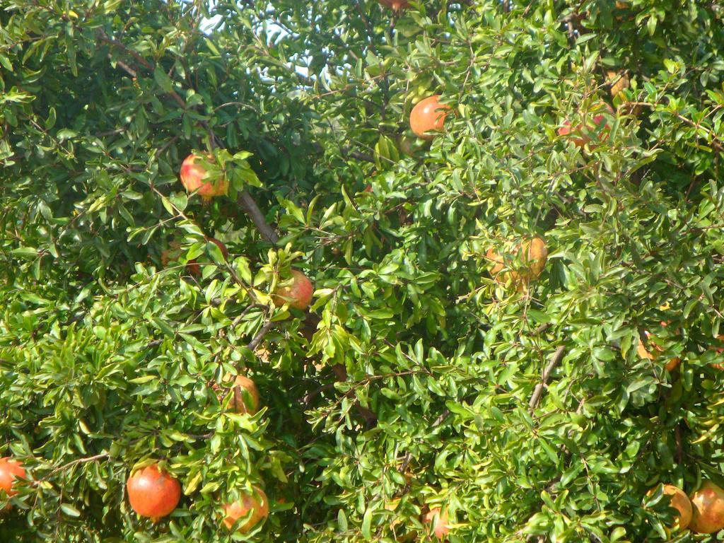 Quinta Dos Poetas Nature & Hotel Pechao