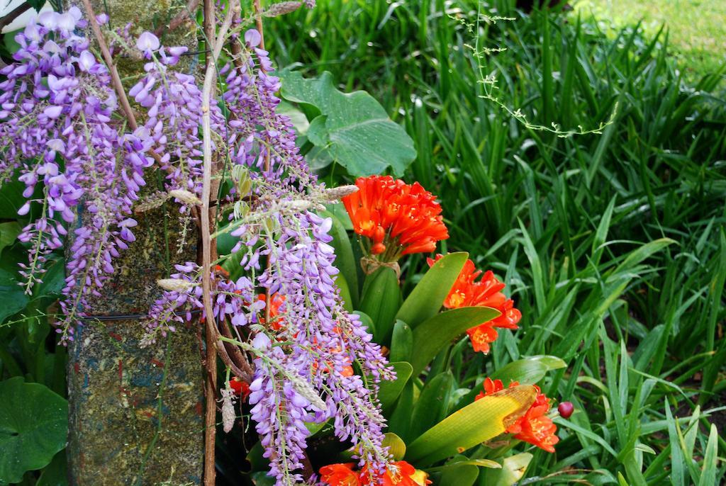 Vakantiepark Quinta De Valverde