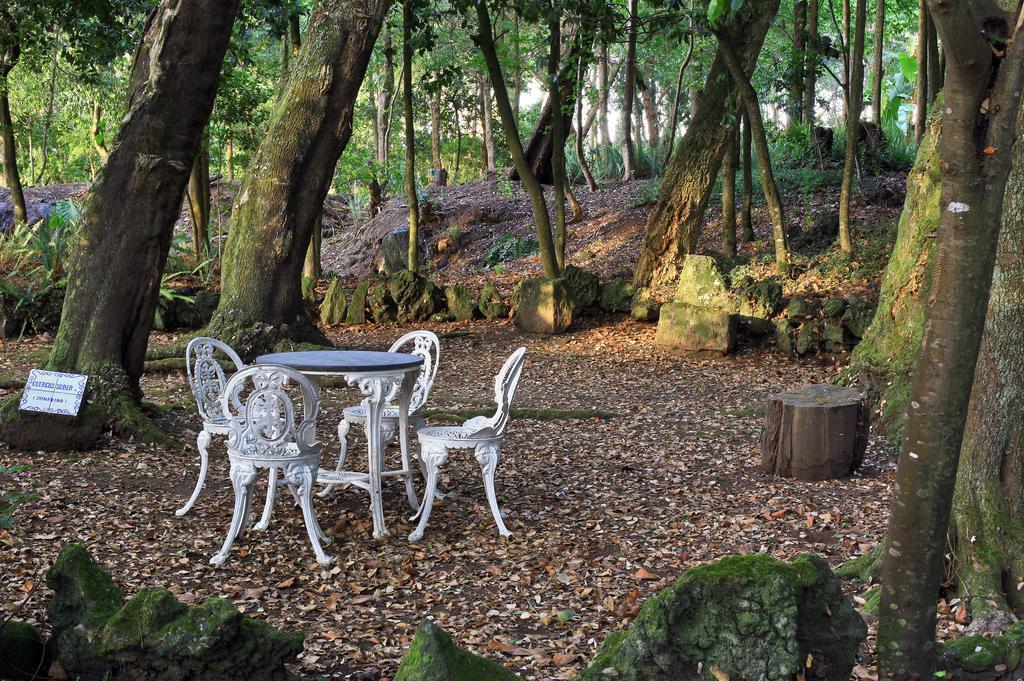 Solar Do Conde Garden