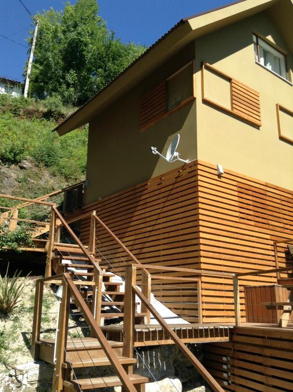 Chalet Brown House *