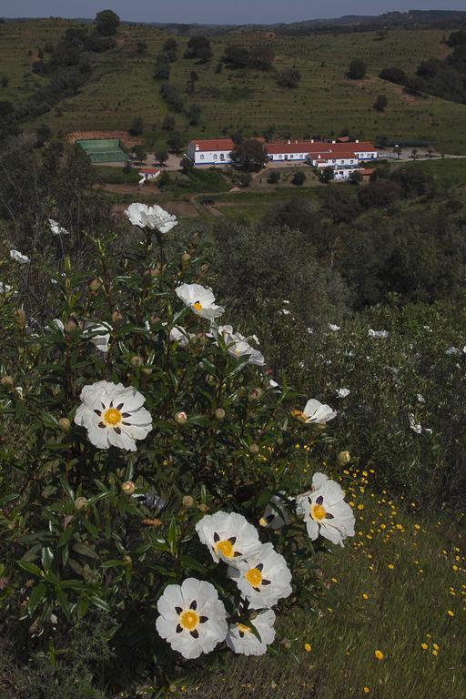 Quinta Do Chocalhinho & Landhuis