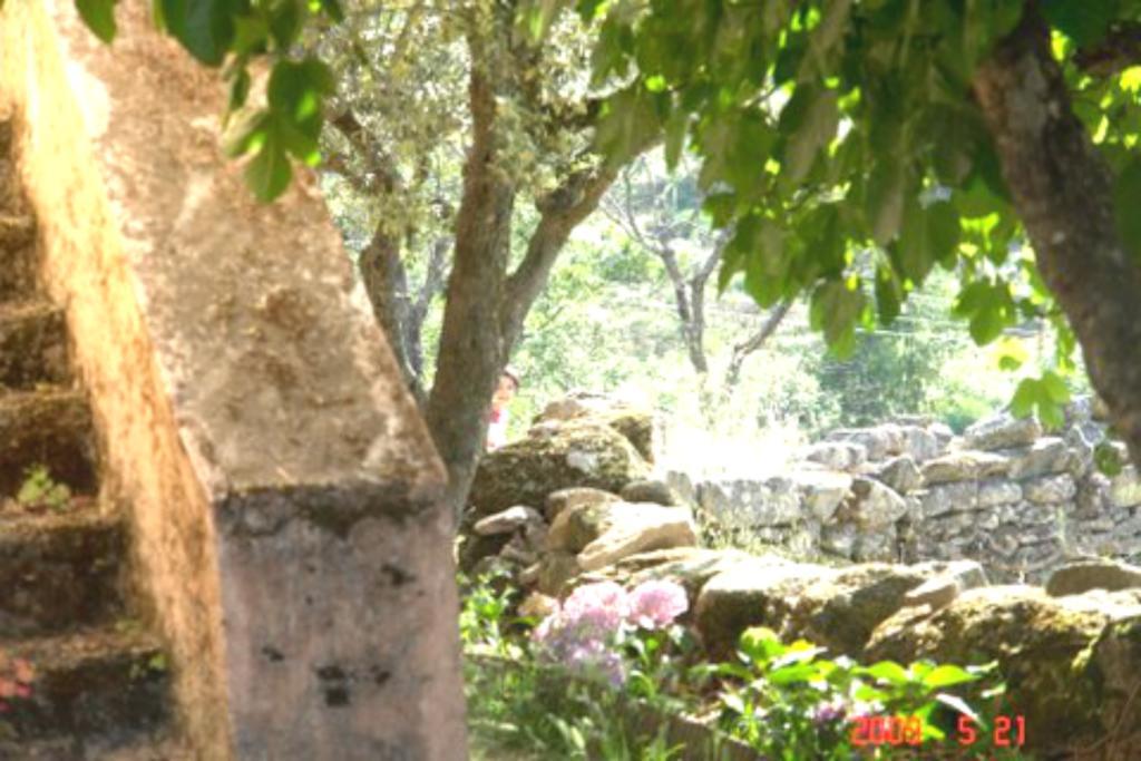 Quinta Do