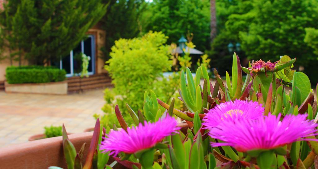 Alambique - & Hotel 4*
