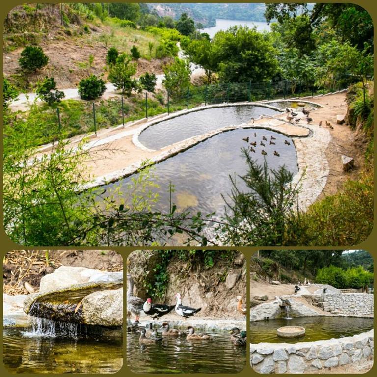 Quinta Das Quintas & Spa Baião