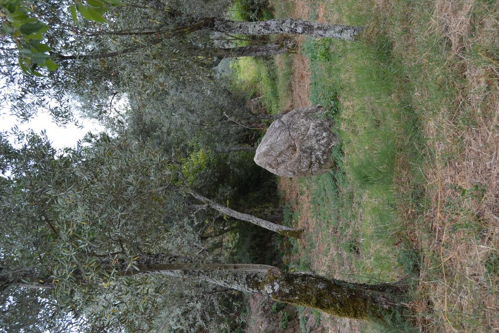 Quinta Das Lamas E Salgueirinhos * Resende