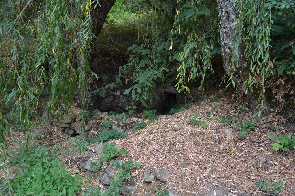 Farm stay Quinta Das Lamas E Salgueirinhos