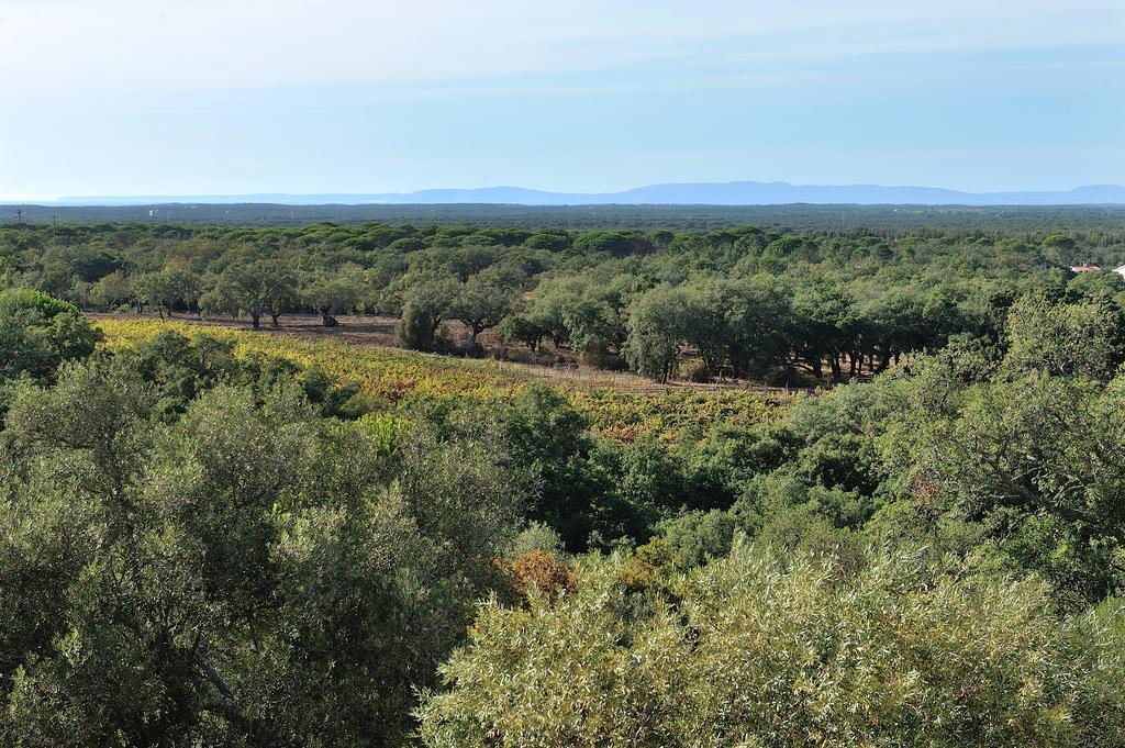 Farm stay A Serenada Enoturismo Grandola