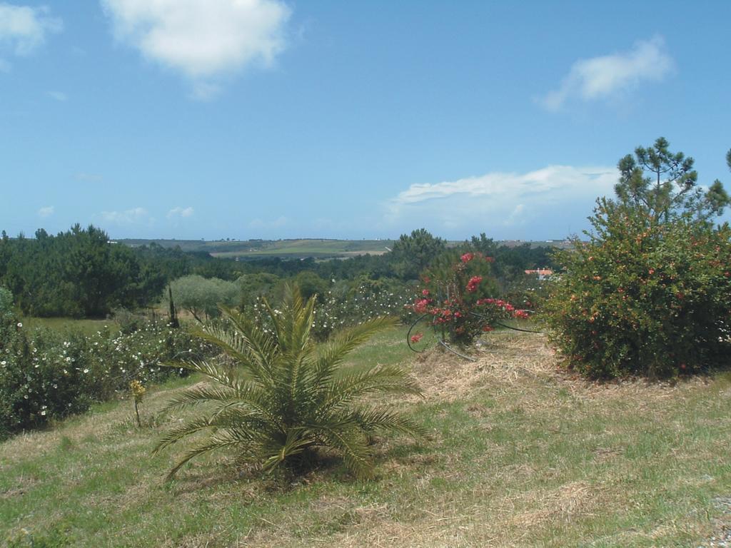 Casa de férias Monte Da Xara *