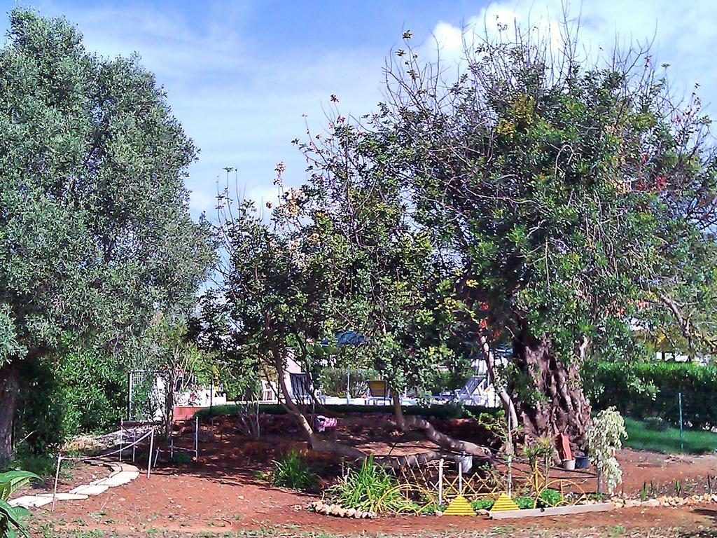 Quinta Casalinho Сasa de vacaciones Albufeira