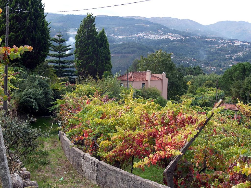 Family Secrets Douro *