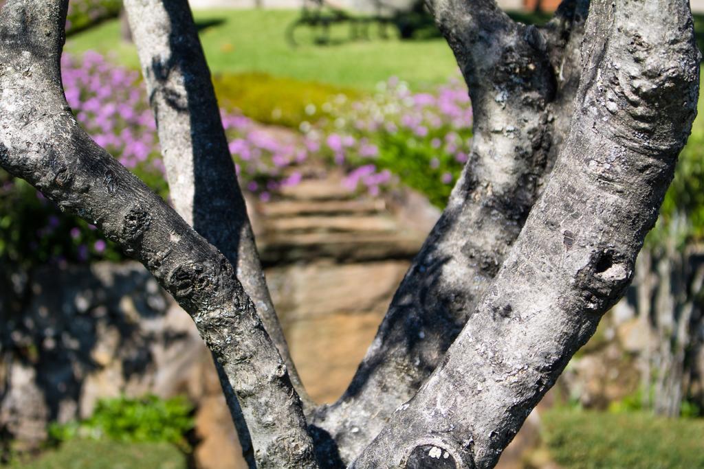 Quinta Da Eira Do Sol