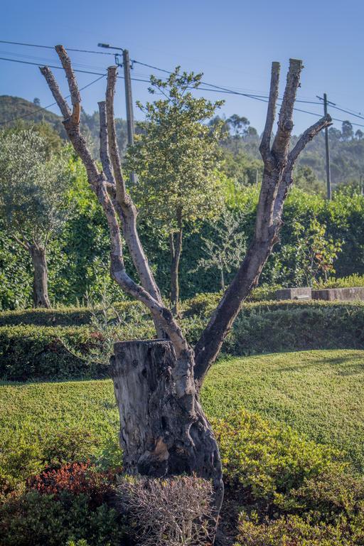 Quinta Da Eira Do Sol Farm stay *