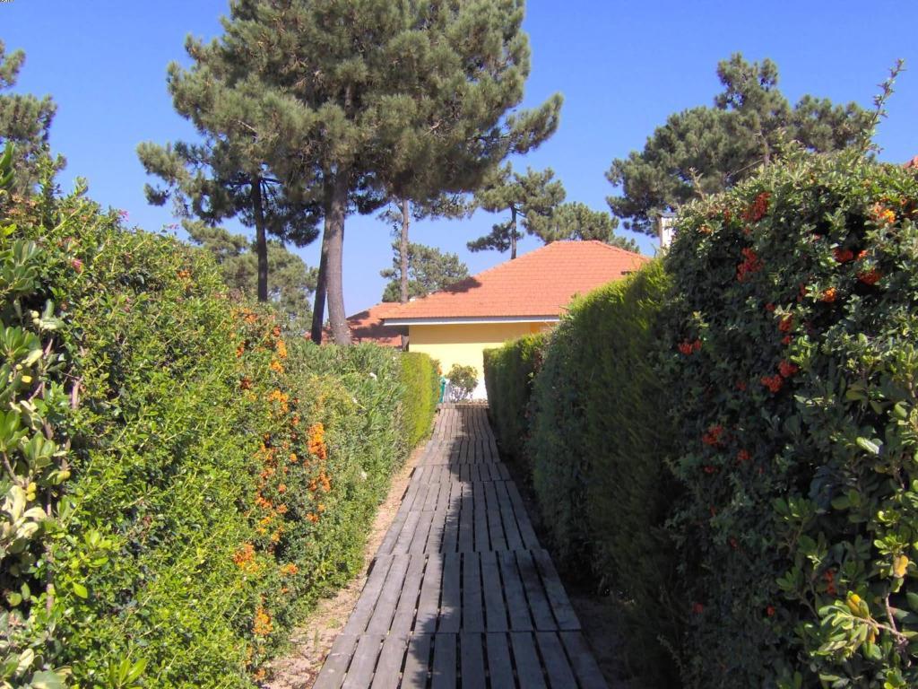 Holiday park Aldeamento Turistico Casas Da